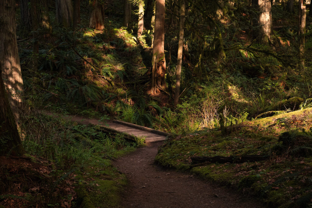 Hiking trail perfect for a Washington hiking elopement