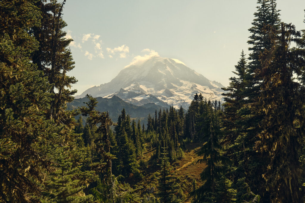 Mt. Rainier from Tolmie Peak, a perfect spot for a Washington Hiking Elopement