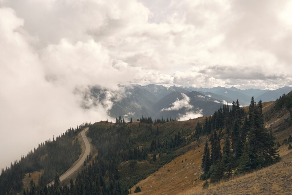 Above the clouds at Hurricane Ridge