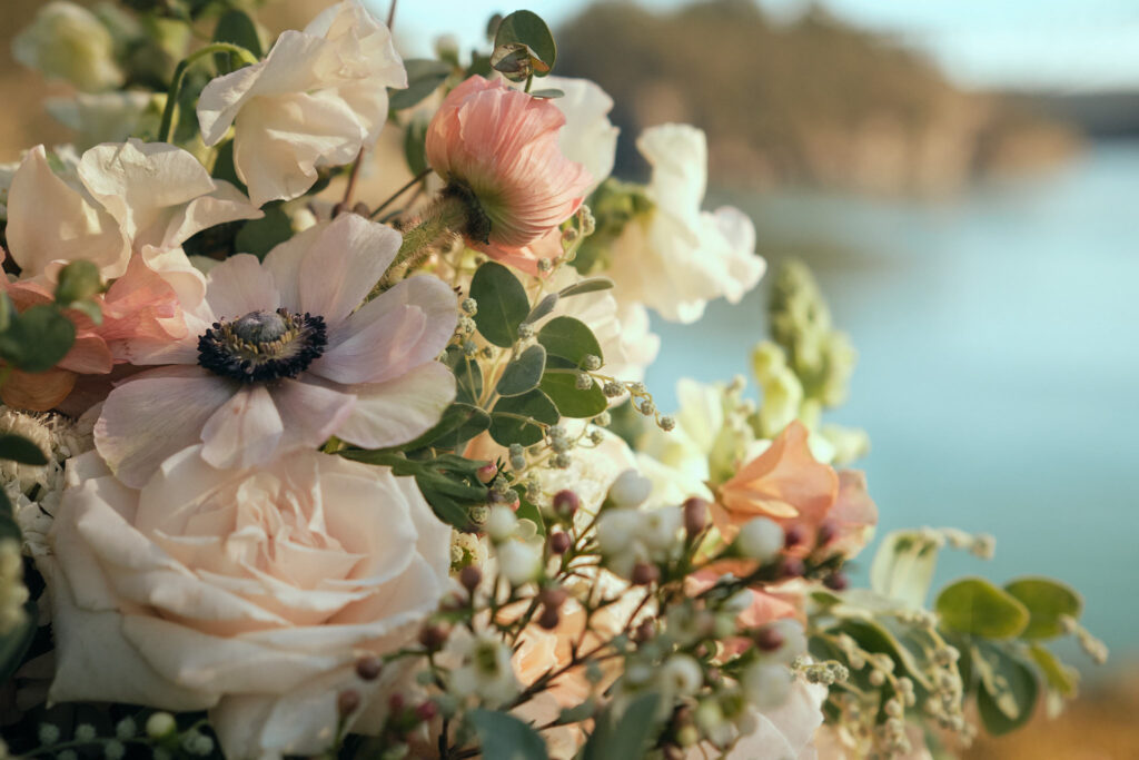 Deception Pass Elopement