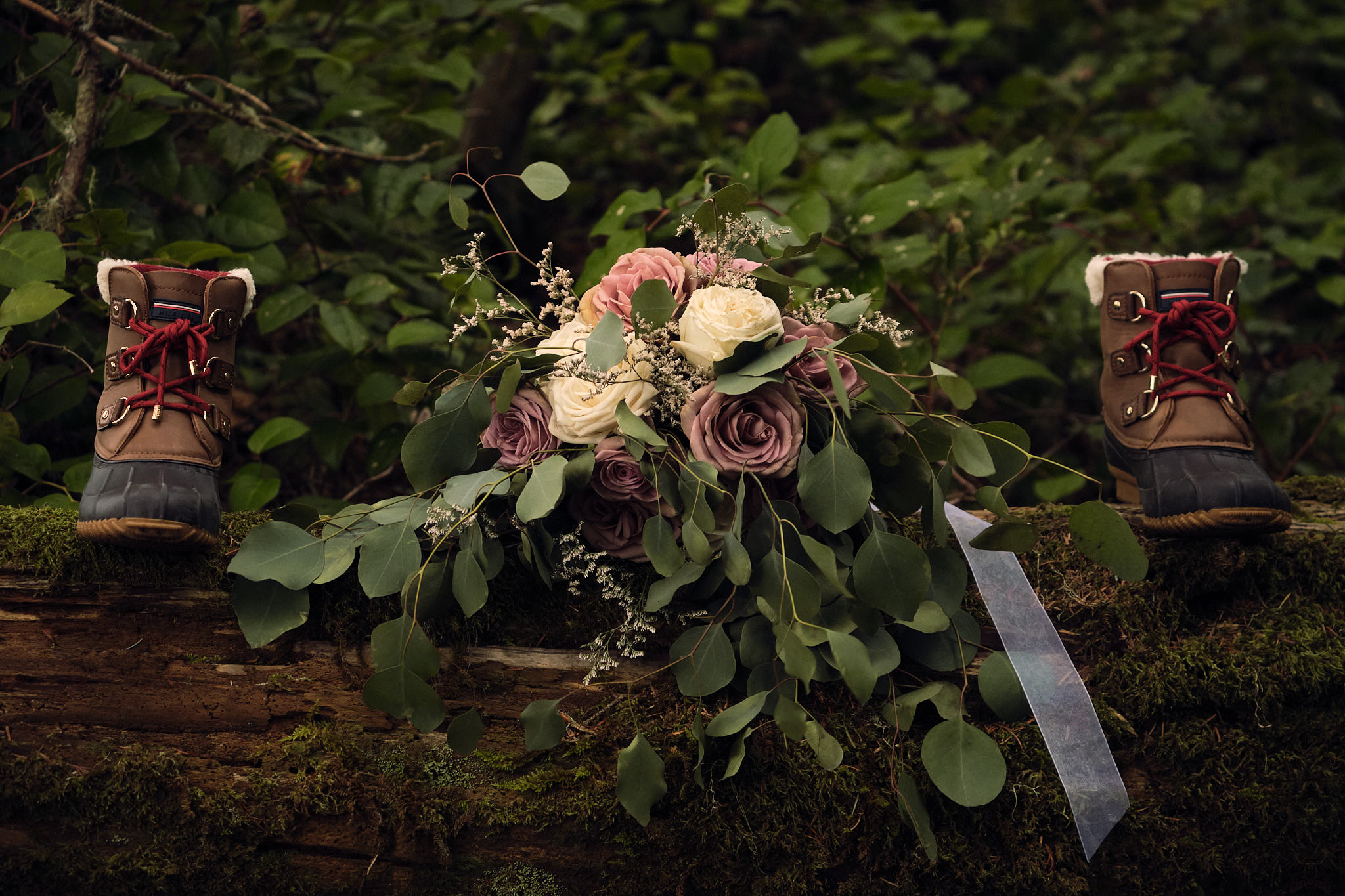 Olympic National Park Elopement