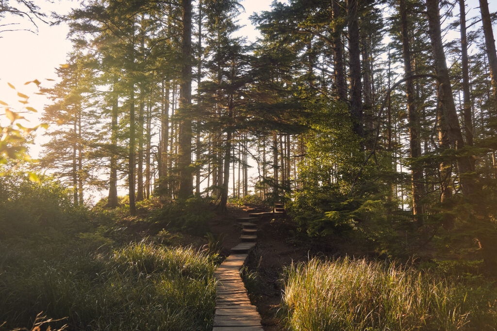 Olympic National Park Elopement