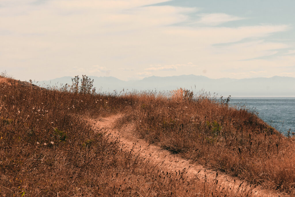 San Juans Elopement