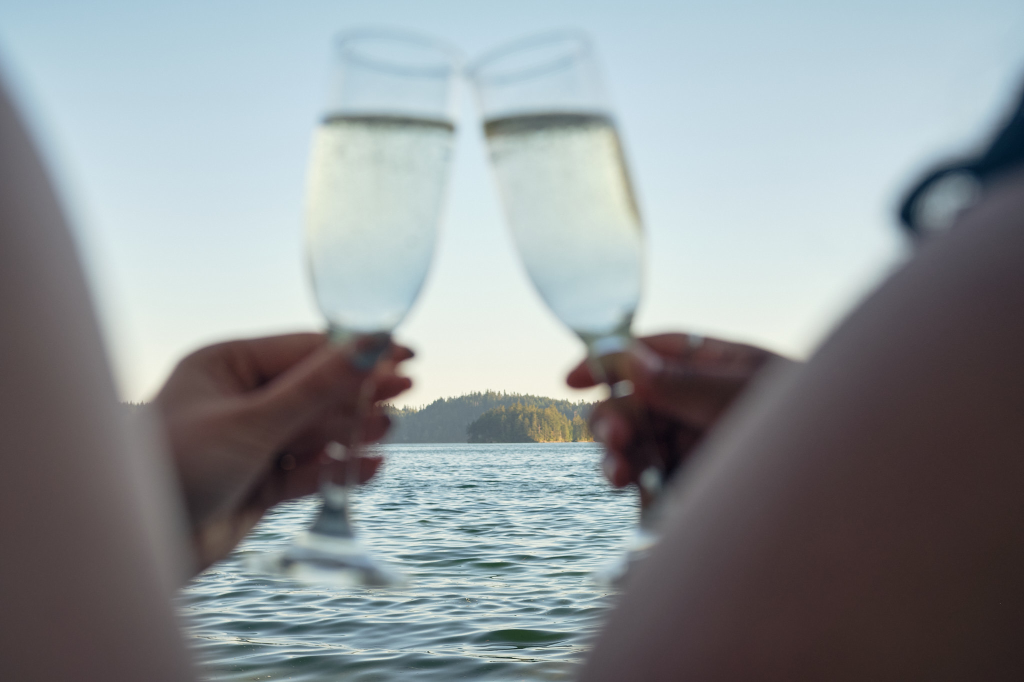 a couple toasts glasses on their Washington elopement