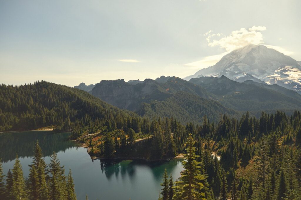 Tolmie Lookout in Mt Rainier